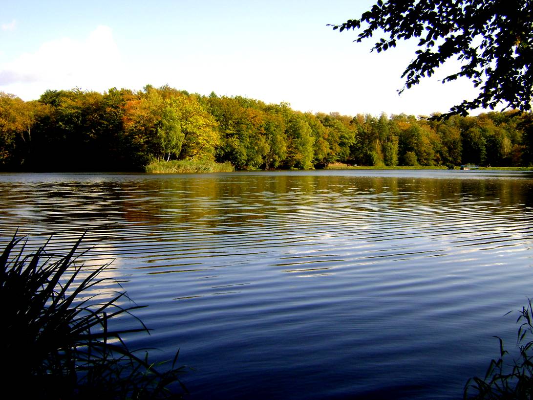 image002.jpg
