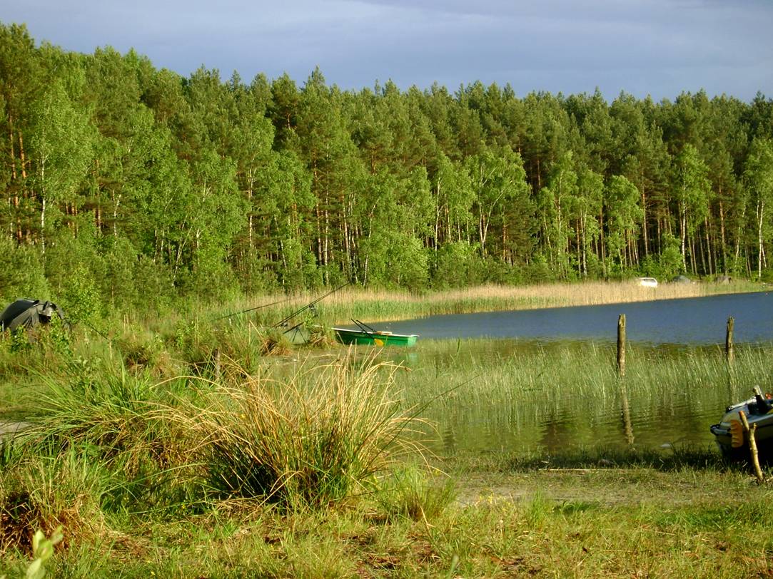 image003.jpg