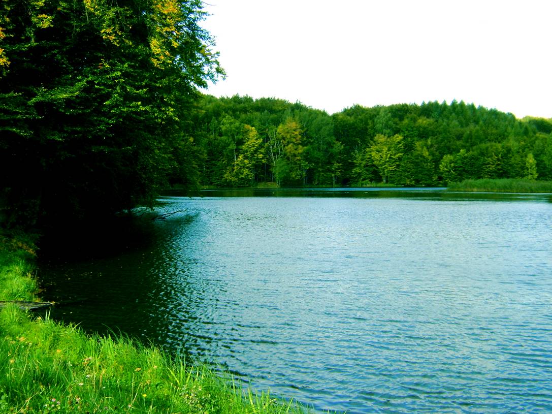 image004.jpg