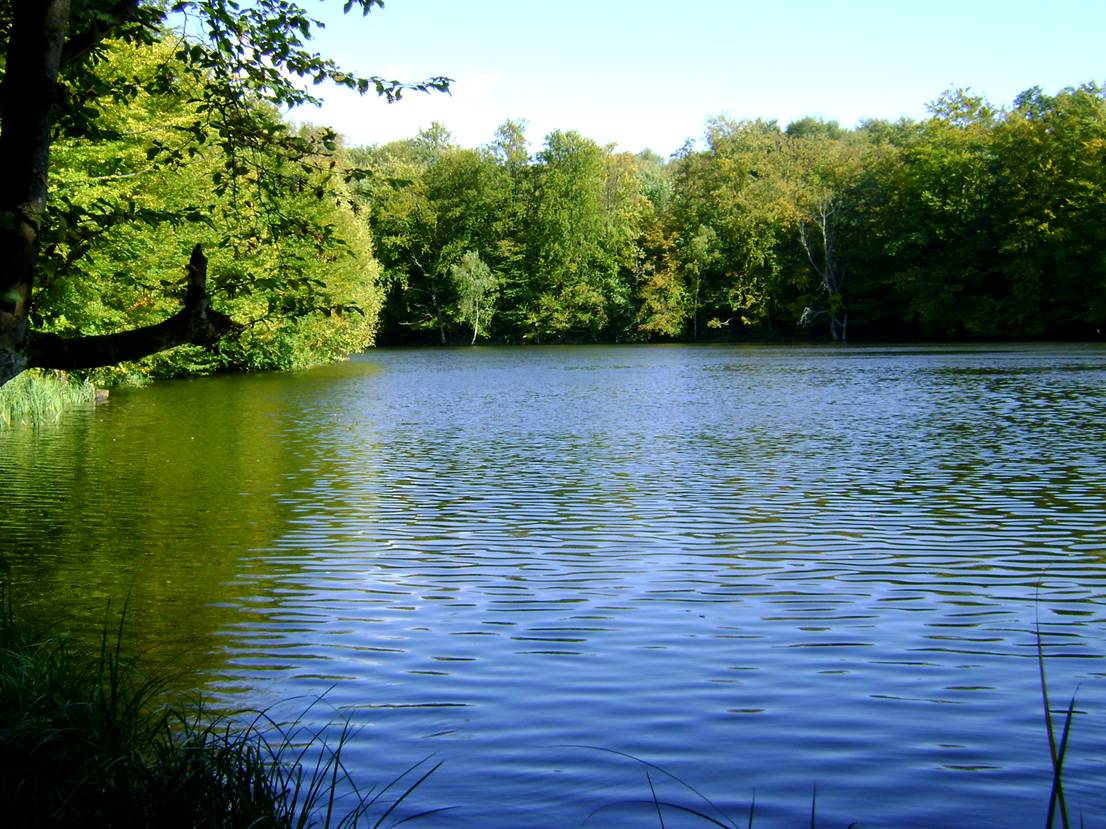 image006.jpg