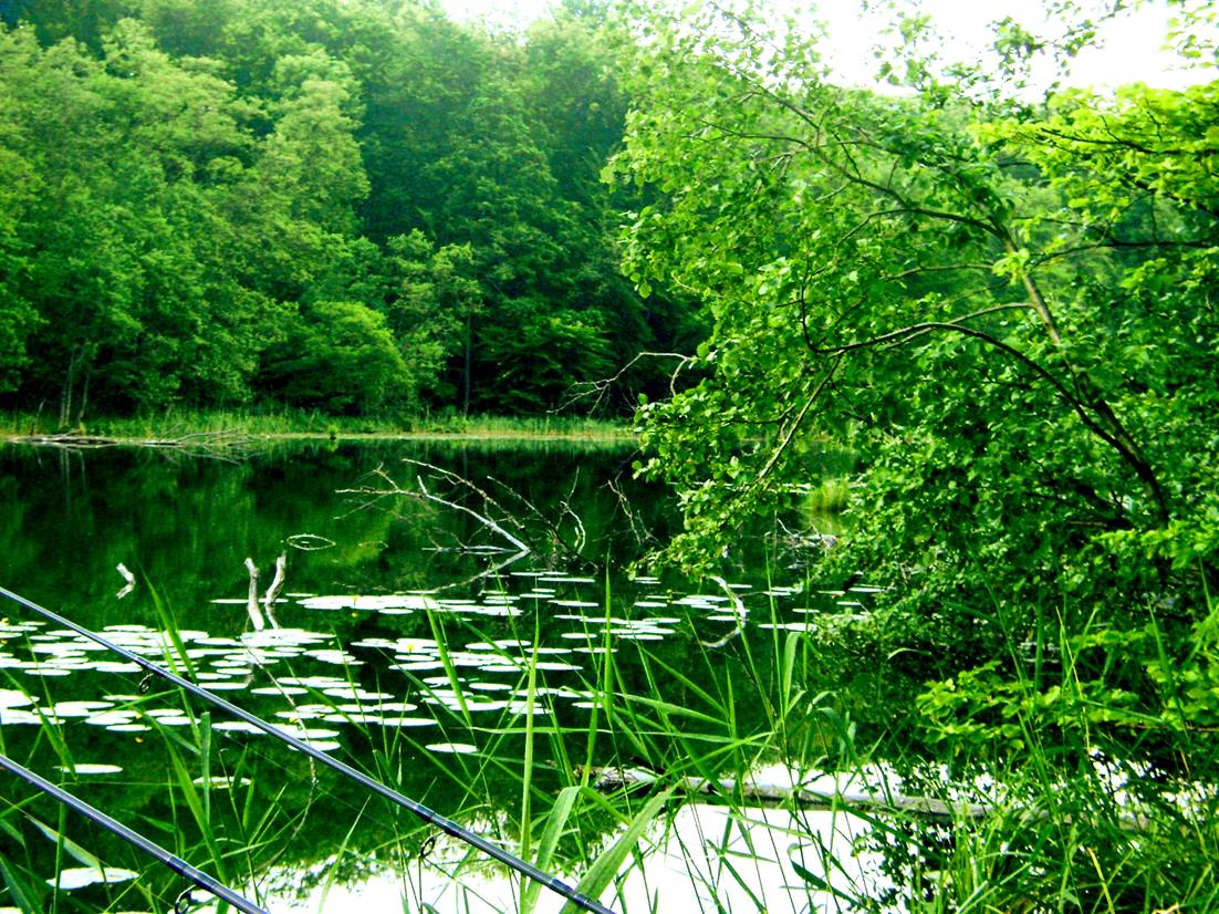 image008.jpg