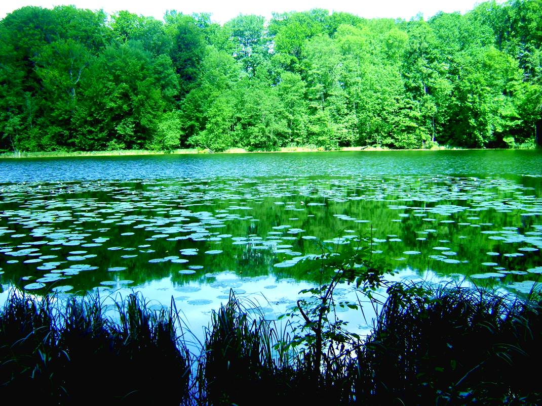 image010.jpg
