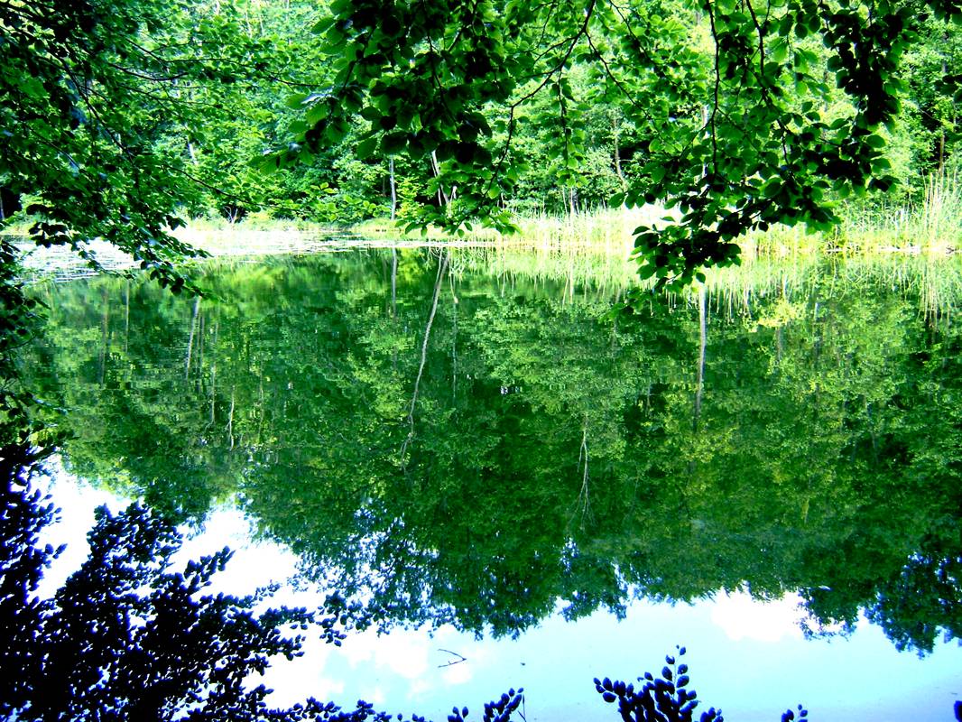 image011.jpg