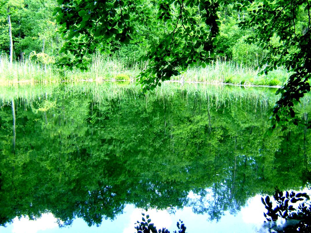 image012.jpg