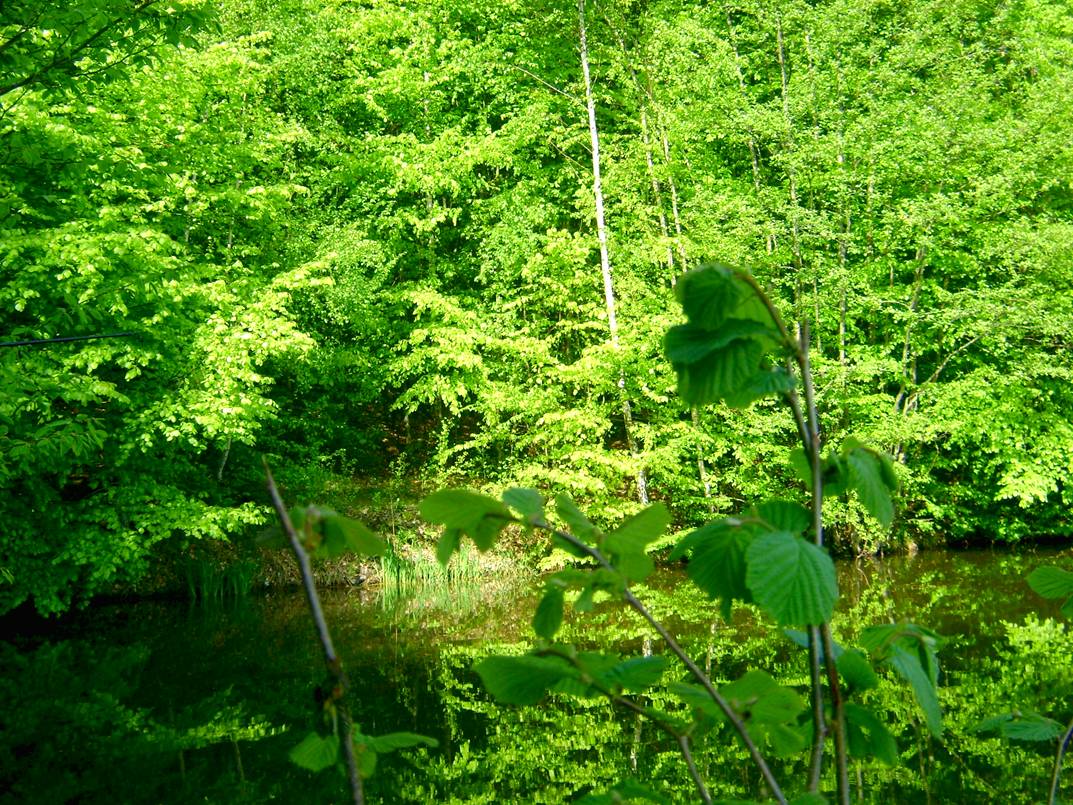 image013.jpg