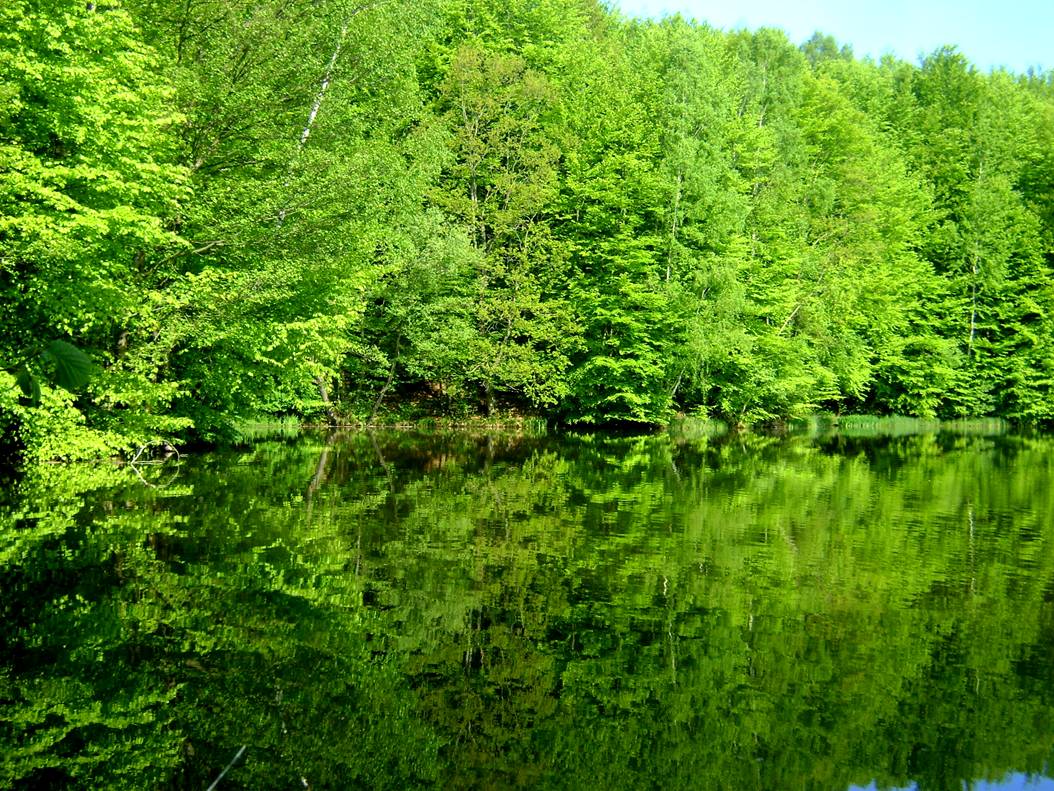 image014.jpg