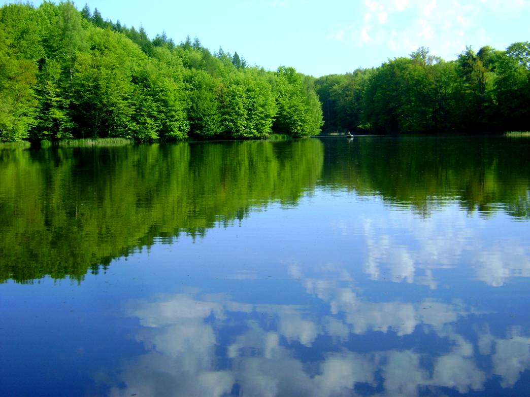 image015.jpg