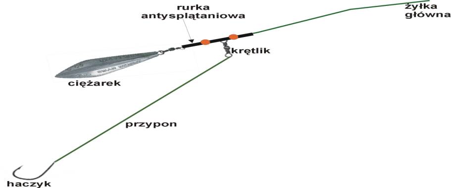 zest_gr5