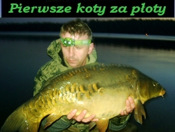 Filmik