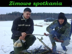 Filmik