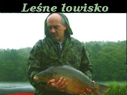Filmik