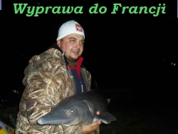 Filmik
