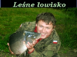 Filmik