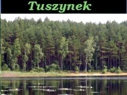 Filmik