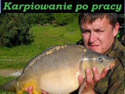Filmik