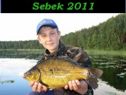 Filmik