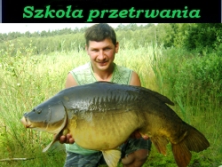 Filmik