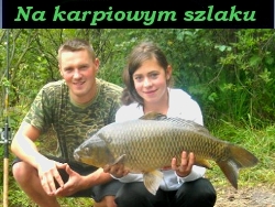 Filmik