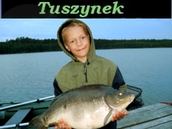 Filmik