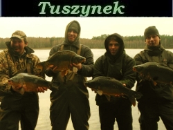 Filmik