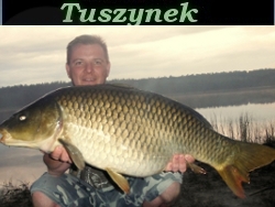Filmik